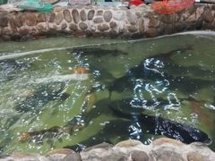 -小北江河鲜(新城店)
