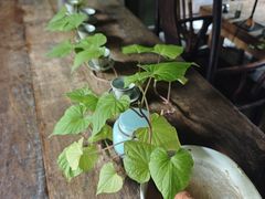 -花迹·金陵南京菜(老门东店)