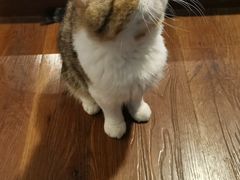 -参差咖啡(水果湖公园店)