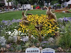 -大通公园
