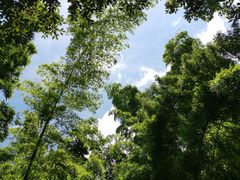 -乌石村