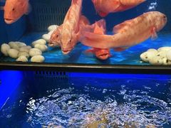 -盒马鲜生(皇庭广场店)