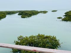 -北海金海湾红树林生态旅游区