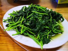 -天鹿湖森林公园