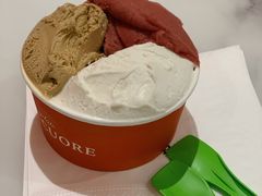 荔枝玫瑰-Dal Cuore 达可芮冰淇淋(陕西北路店)