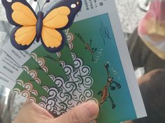 -上海海洋水族馆