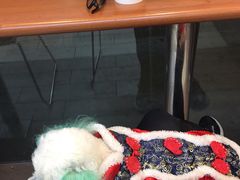 -全家便利店(沪青平公路四店)