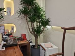 -艾通康缘艾灸.疼痛.睡眠养生馆(凤凰城店)