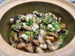 -红星光发煲仔饭(文海店)