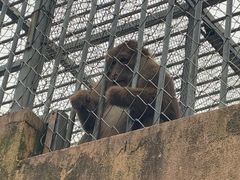-宁波野生动物园
