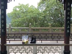-溪口-滕头旅游景区
