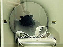 -喜多萌中农锦绣动物医院24H·猫科·牙科MRI·CT