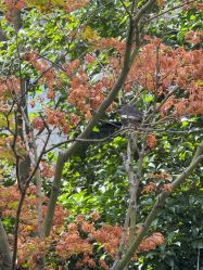 -馨月汇·一悦馨香月子中心(前滩店)