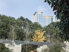 -沙河三洞古桥公园