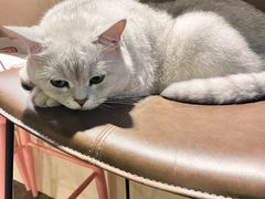 -后院儿·精酿·塔罗Happy Bar