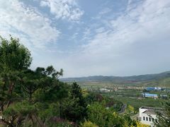 -太子山公园(园东路)