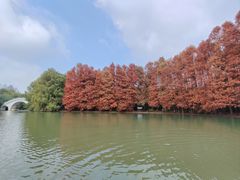 -上海海湾国家森林公园