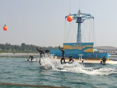 -秦皇岛乐岛海洋王国