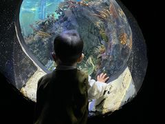 -成都浩海立方海洋公园