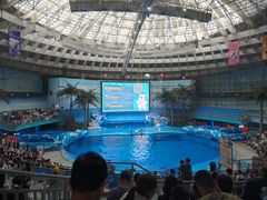 -海合安成都极地海洋公园