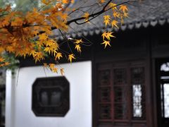 -上海醉白池公园