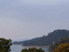 -逸廊大堂吧-下午茶·简餐-千岛湖自由洲际殿