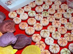 -摩登百货(岗顶店)