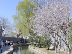 -三里河公园