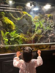-造物庄园 萌宠纪(苏州湾歌林公园店)
