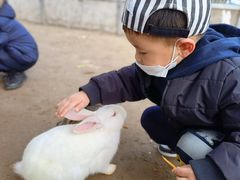 -前小桔亲子创意农场·草莓采摘·露营烧烤