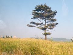 -威海大乳山景区