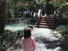 -茱萸湾风景区-售票处