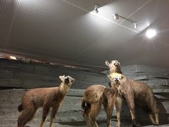 -自然博物馆新馆2楼餐厅
