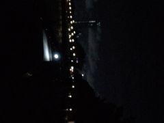 -欢乐海岸椰林沙滩-2025湾区超级灯会