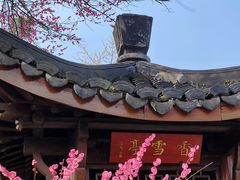 -杭州植物园