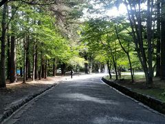 -北海道神宫