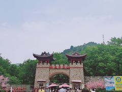 -木兰云雾山