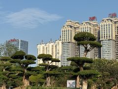 -南宁南湖公园