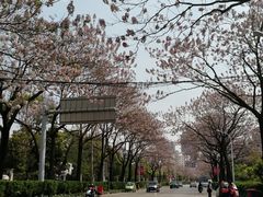 -西南林业大学(白龙校区)