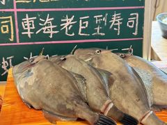 -鮨冠OMAKASE食べ放题(北京首店)