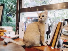 -咖法森林·咖啡  酒吧(天河店)