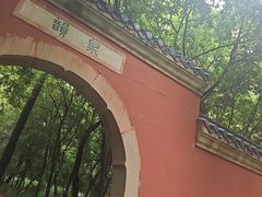 -灵谷景区