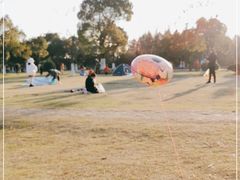 -艾溪湖湿地公园