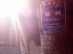 -胡里山炮台