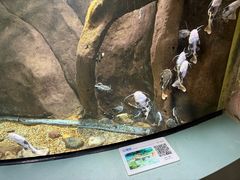 -福州罗源湾海洋世界旅游区