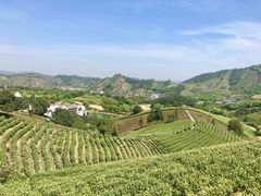 -帐篷客·溪龙茶谷度假酒店