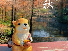 -云溪植物园