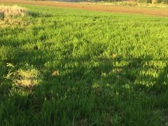 -泸沽湖国家级风景名胜区走婚桥