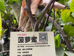 -呀路古热带植物园