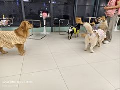 -怪兽屋·羊驼·猫咖·狗咖(俊华广场店)